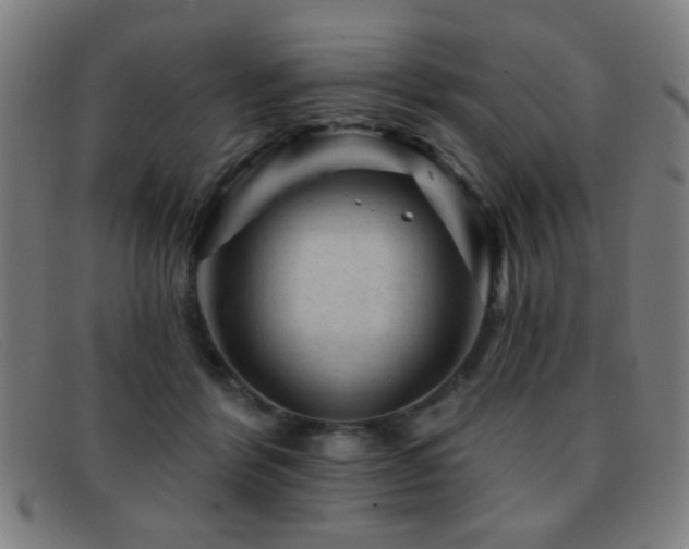 X0000092040412200709121157