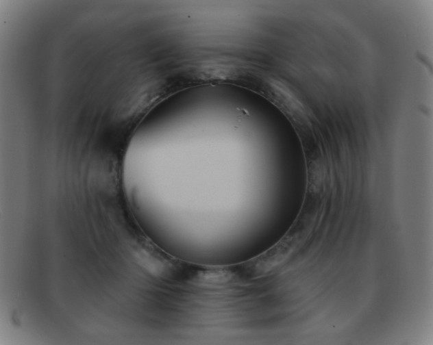 X0000092040414200709121157