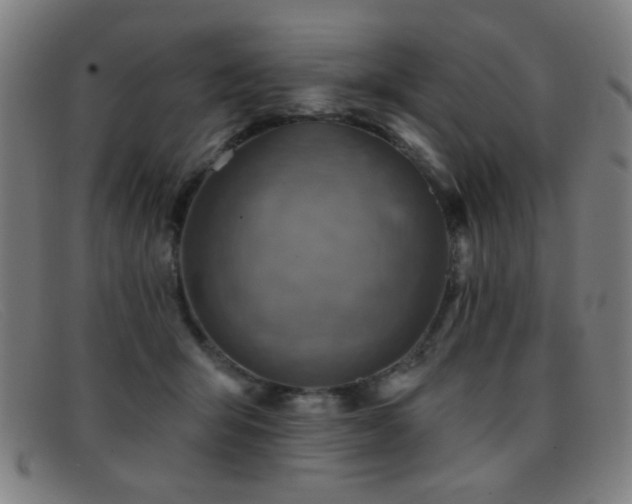 X0000092040415200709121157