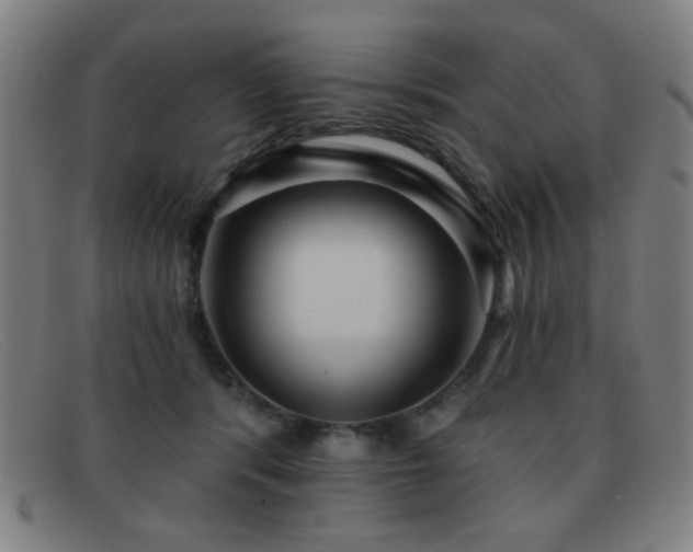 X0000092040416200709121157