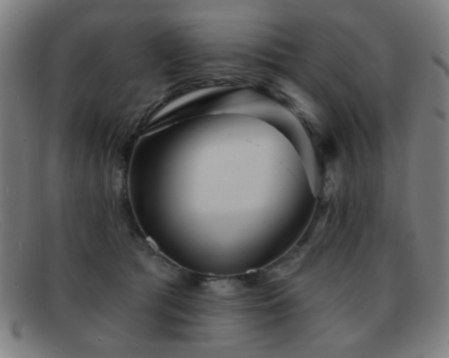 X0000092040417200709121157