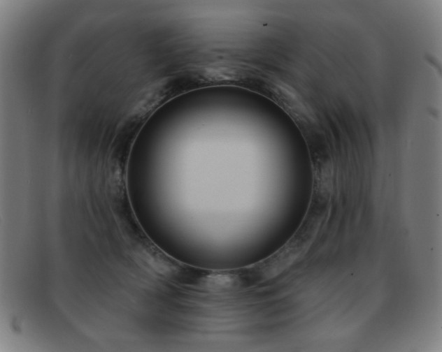 X0000092040418200709121157