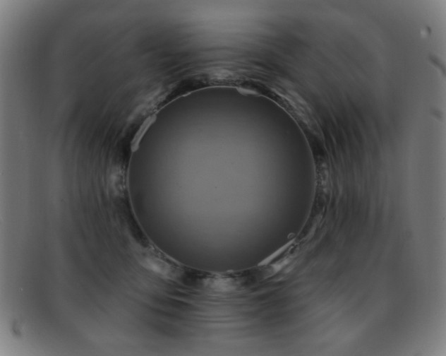 X0000092040419200709121157