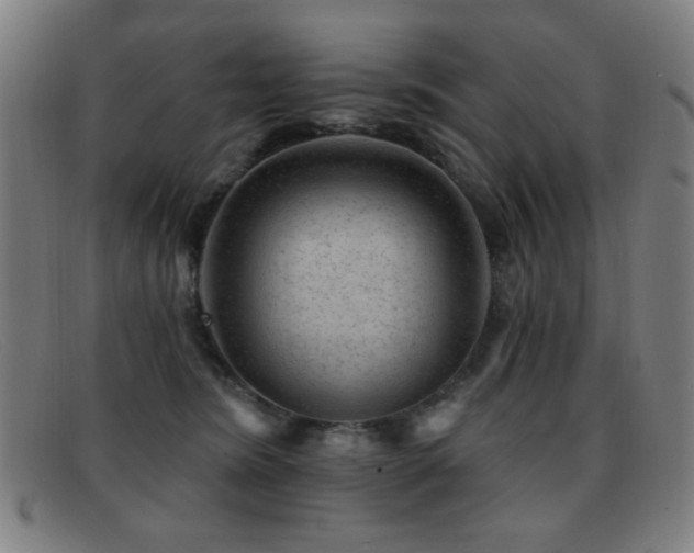 X0000092040420200709121157