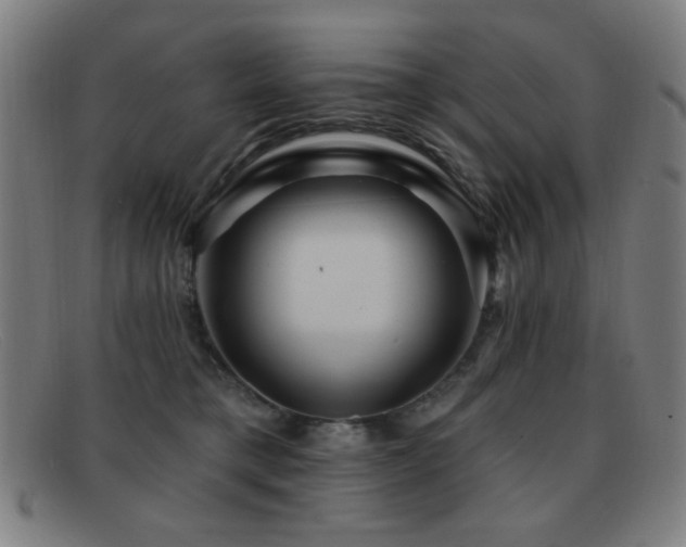 X0000092040421200709121157