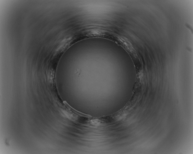 X0000092040423200709121157