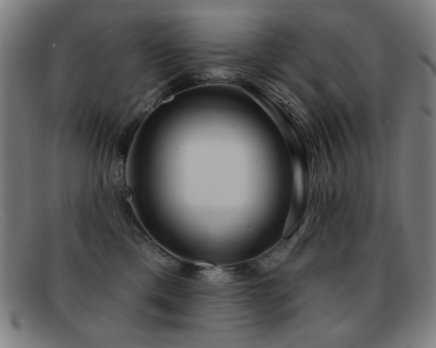 X0000092040425200709121157