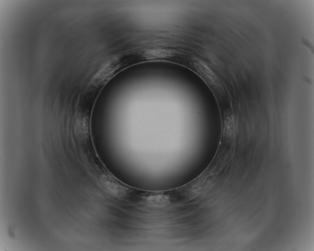 X0000092040426200709121157