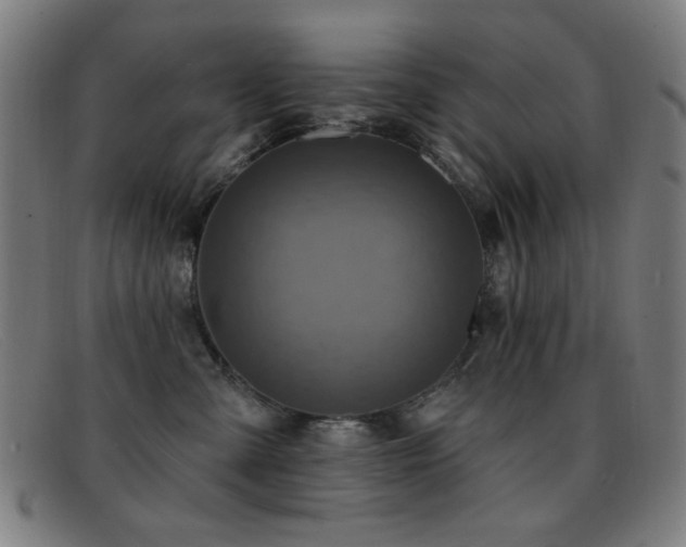 X0000092040427200709121157