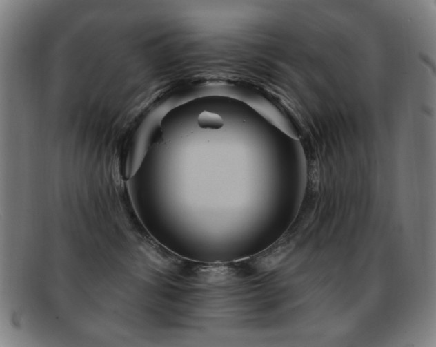 X0000092040428200709121157