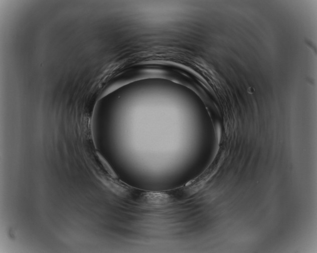 X0000092040429200709121157