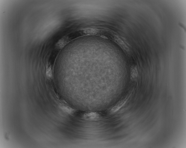 X0000092040431200709121157