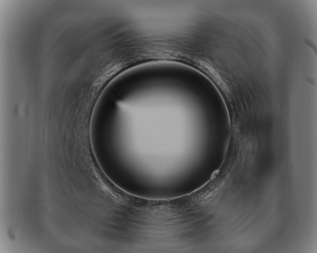 X0000092040433200709121156