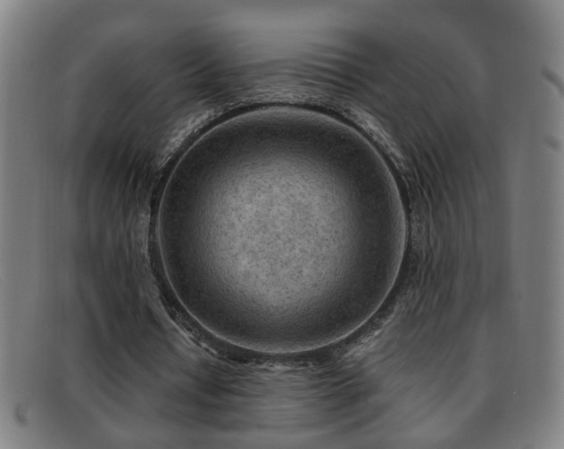 X0000092040434200709121156