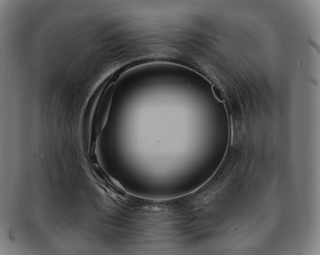 X0000092040435200709121156