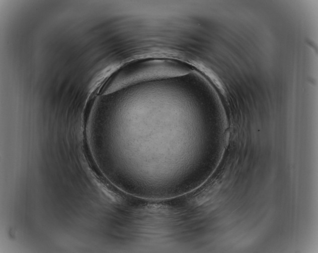 X0000092040437200709121156