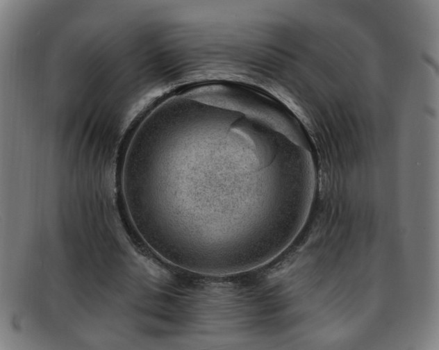 X0000092040438200709121156