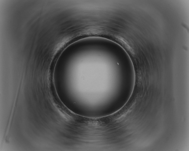 X0000092040439200709121156