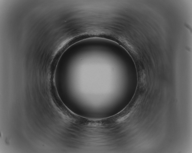 X0000092040440200709121156