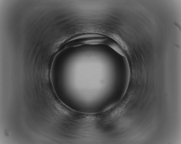 X0000092040441200709121156