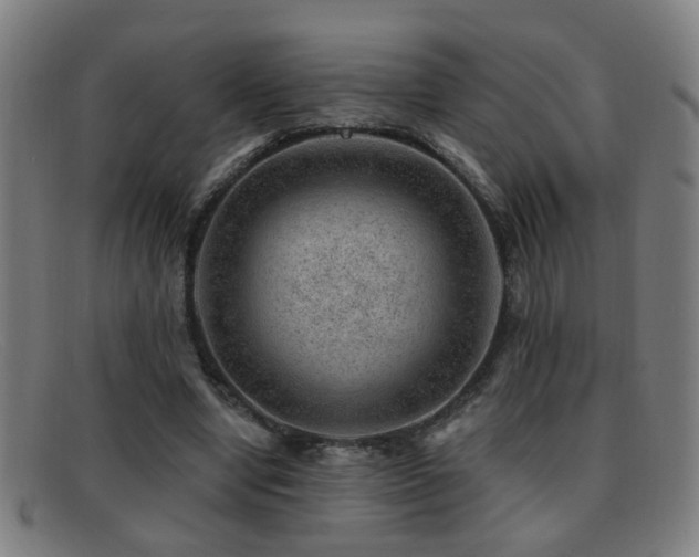 X0000092040442200709121156