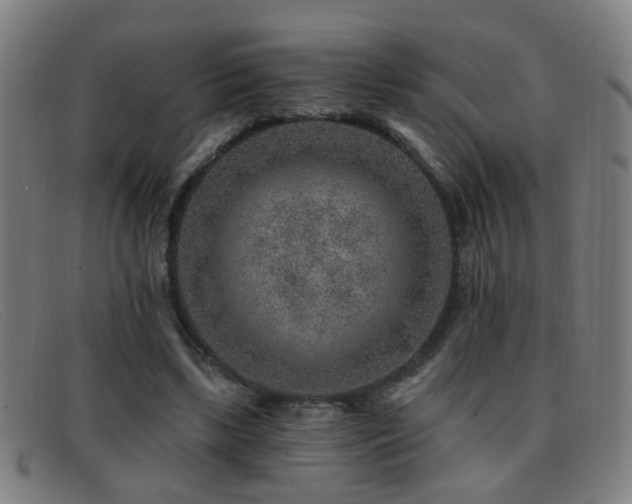 X0000092040443200709121156