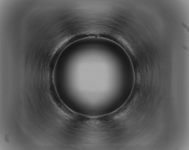 X0000092040444200709121156