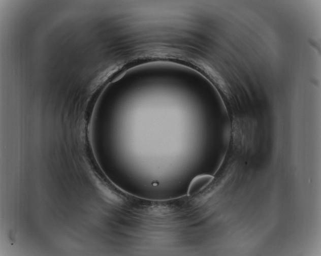 X0000092040445200709121156