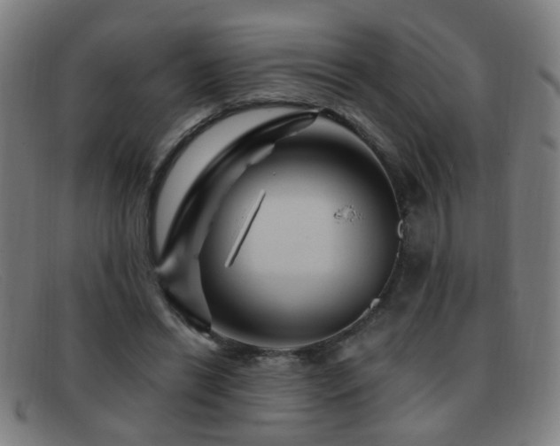 X0000092040446200709121156