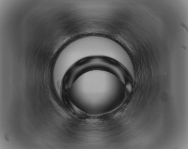 X0000092040448200709121156