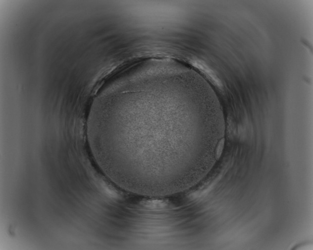 X0000092040449200709121156