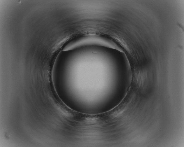 X0000092040450200709121156