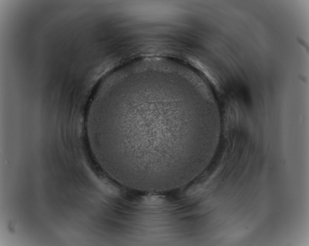 X0000092040451200709121156