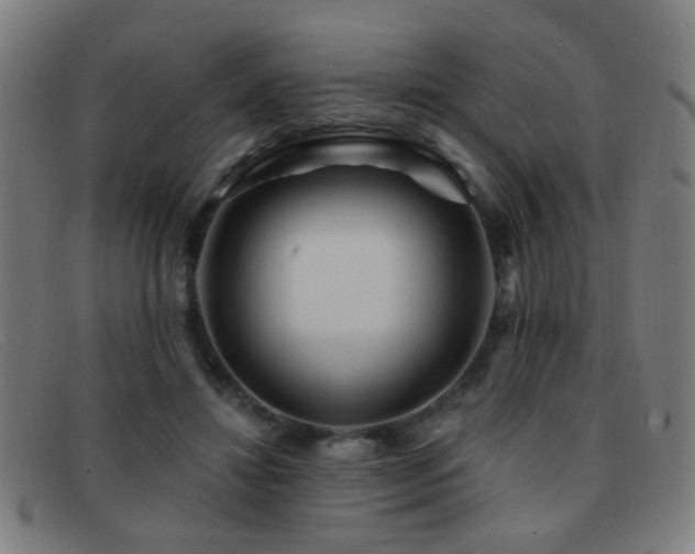 X0000092040452200709121156