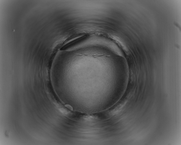 X0000092040453200709121156