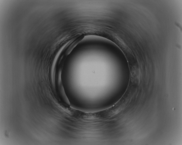 X0000092040454200709121156