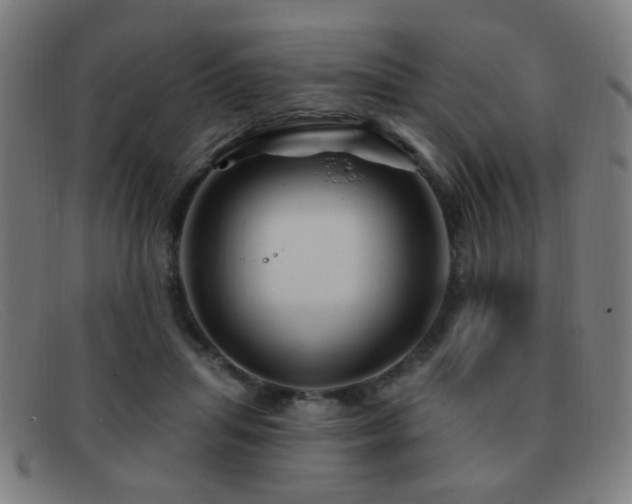 X0000092040455200709121156