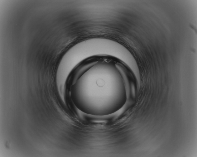 X0000092040456200709121156