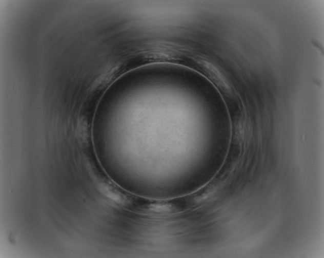 X0000092040457200709121156