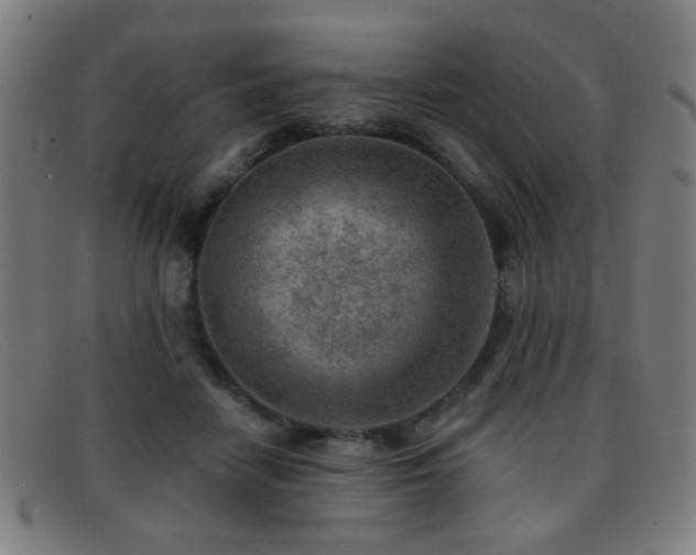 X0000092040458200709121156