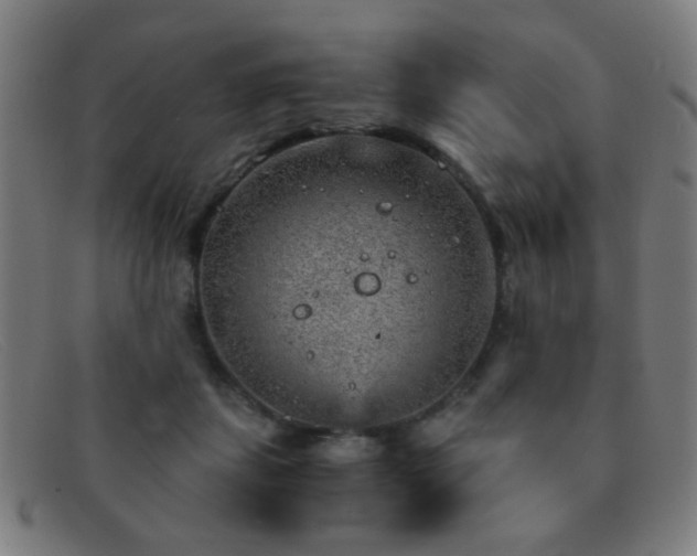 X0000092040459200709121156