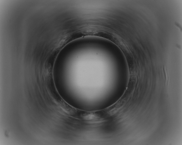 X0000092040460200709121156