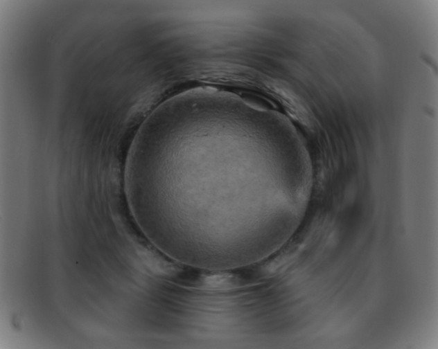 X0000092040461200709121156