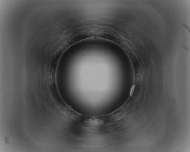 X0000092040464200709121156