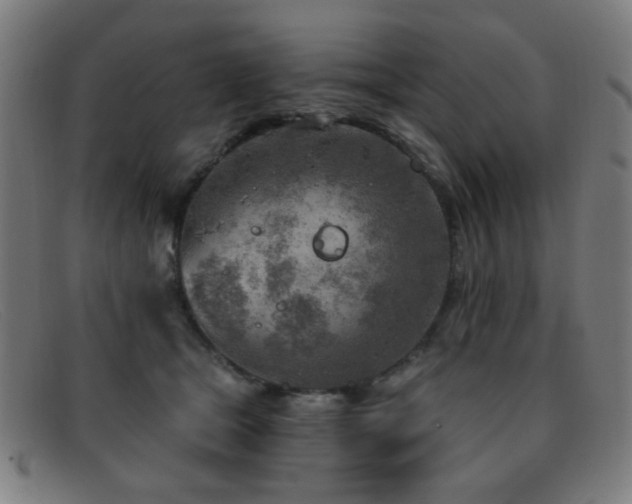 X0000092040465200709121156