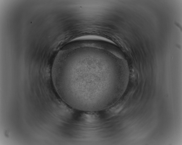 X0000092040466200709121156