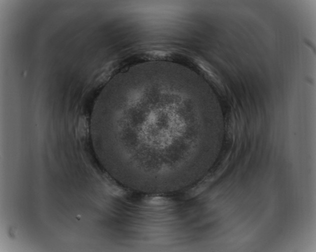 X0000092040467200709121156