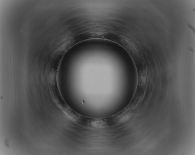 X0000092040468200709121156