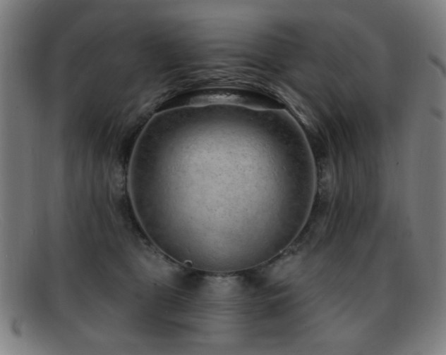 X0000092040469200709121156