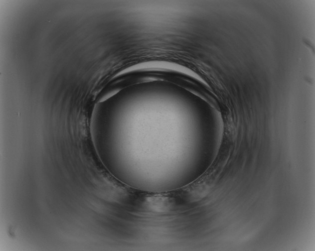 X0000092040470200709121156